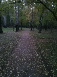 IMG_20151001_062344.webp IMG_20151001_062344.webp