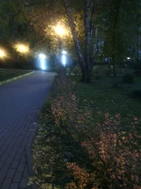 IMG_20151002_061720.webp IMG_20151002_061720.webp