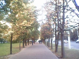 IMG0061A.webp IMG0061A.webp
