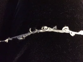 image.webp image.webp