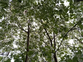 IMG_20200520_192055.webp IMG_20200520_192055.webp