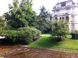 IMG_1229_1024.webp IMG_1229_1024.webp