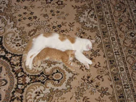 IMG_0107.webp IMG_0107.webp