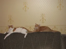 IMG_0294.webp IMG_0294.webp