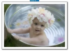 image.webp image.webp