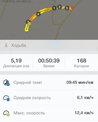 image.webp image.webp
