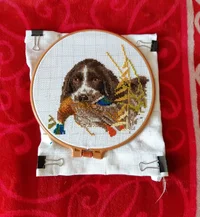 20200607_115437_copy_3185x3456_copy_1274x1382.webp 20200607_115437_copy_3185x3456_copy_1274x1382.webp