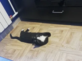 IMG_20200613_125051.webp IMG_20200613_125051.webp