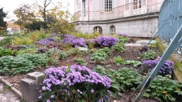 20151024_094234.webp