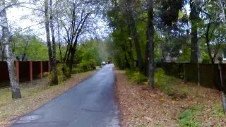 1444564327925.webp