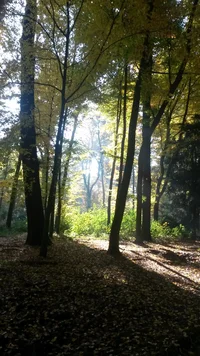 20151027_102404.webp