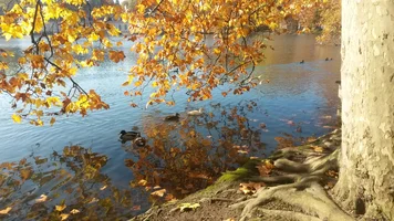 20151027_105303.webp