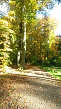 20151027_103927.webp