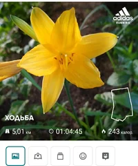 IMG_20200624_205131.webp IMG_20200624_205131.webp