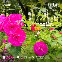 fitbitshare_618098564.webp