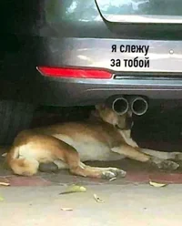 VX4EBzCH2fg.webp VX4EBzCH2fg.webp