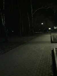 IMG_20151102_061956.webp IMG_20151102_061956.webp