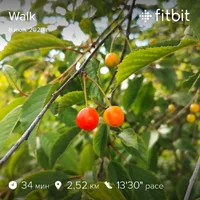 fitbitshare_1135400825.webp