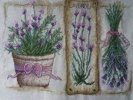 20200720_154614.webp 20200720_154614.webp