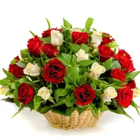 image (30).webp image (30).webp