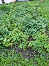 IMG_2020_08_01_19_46_18_9509094422051820257411.webp IMG_2020_08_01_19_46_18_9509094422051820257411.webp