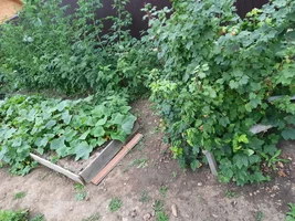 IMG_2020_08_01_19_47_21_2583735217531576265304.webp IMG_2020_08_01_19_47_21_2583735217531576265304.webp