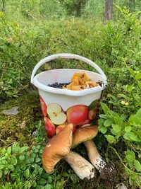 1597043969433.png 1597043969433.png