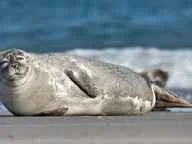 Без названия (2).webp