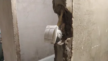 IMG_20200813_204601.webp IMG_20200813_204601.webp