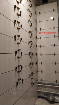 IMG_20200818_071901.webp IMG_20200818_071901.webp