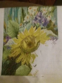 20200921_200321.webp 20200921_200321.webp