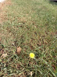 2020-09-24 09.16.50.webp