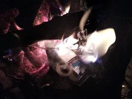 IMG_20201002_185730.webp IMG_20201002_185730.webp