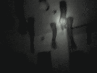 алкогольный делирий после запоя.gif