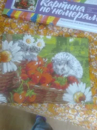 Фото1563.webp Фото1563.webp