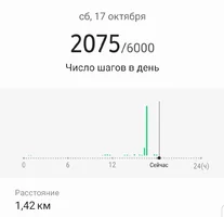 Screenshot_20201017-183709_Samsung Health.webp