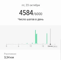 Screenshot_20201023-214821_Samsung Health.webp
