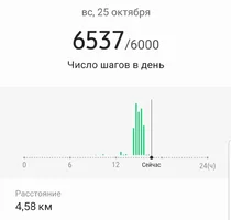 Screenshot_20201025-164116_Samsung Health.webp