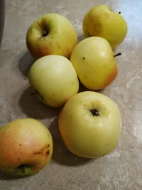 IMG_20201025_151927.jpg IMG_20201025_151927.jpg