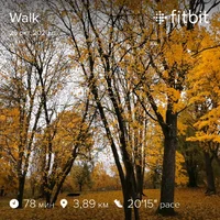 fitbitshare_1697844421.webp