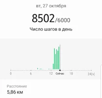 Screenshot_20201027-144419_Samsung Health.webp