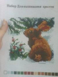 Фото1579.webp Фото1579.webp