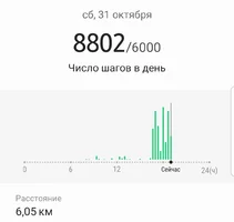 Screenshot_20201031-191808_Samsung Health.webp