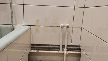 IMG_20201102_125719.webp IMG_20201102_125719.webp