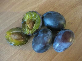 blue_sliva_chernoslov_19_1024x768.webp blue_sliva_chernoslov_19_1024x768.webp