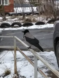 2020-04-26 07-44-52.webp