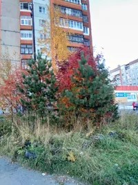 2020-10-03 17-10-02.webp