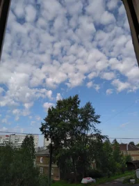 2020-08-22 08-45-30.webp