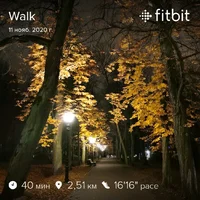 fitbitshare_958563385.webp