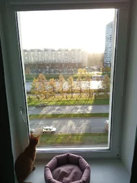 IC4QVeDw45I.jpg IC4QVeDw45I.jpg